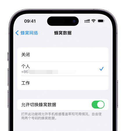 胡场镇苹果维修服务分享如何在iPhone上使用双卡 